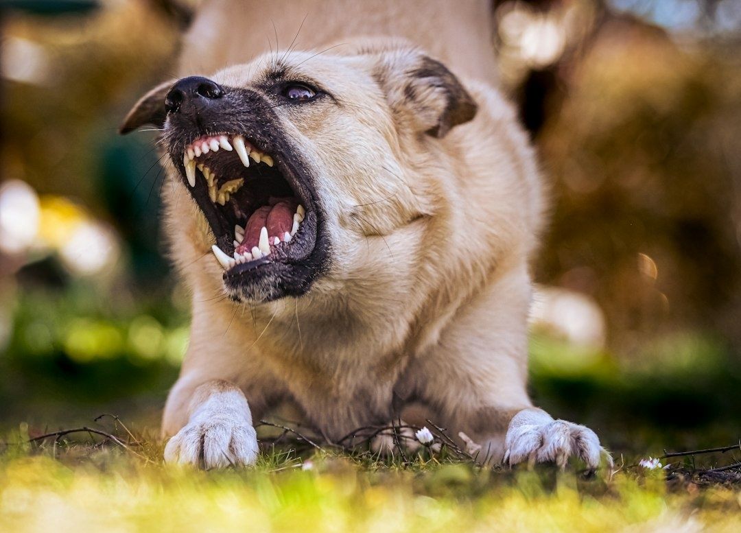 Ung hund morrar med blottade tänder i en skogsmiljö